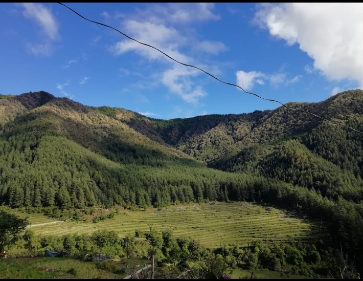 Mountain valley view with terraced fields and forests