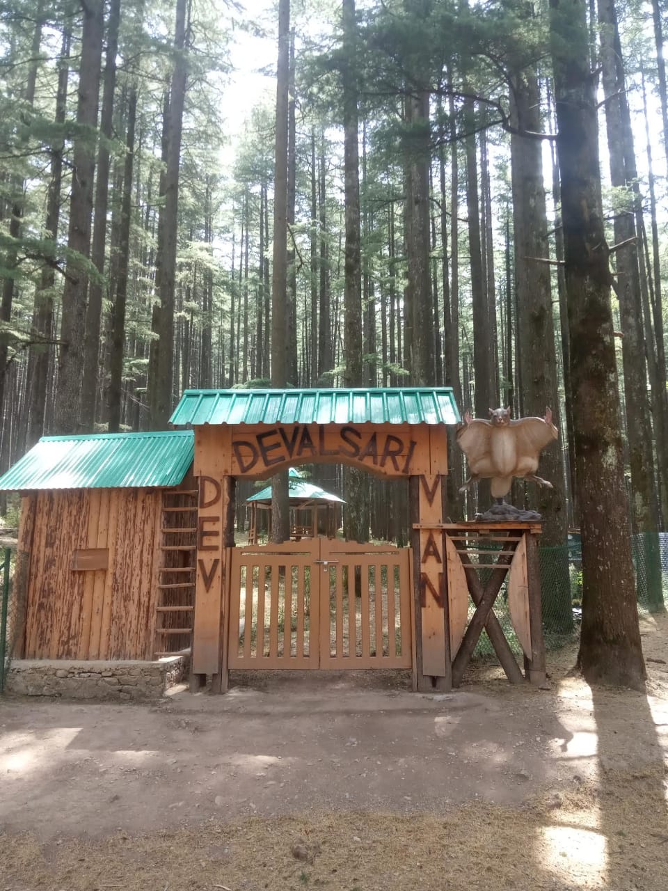 Devalsari Dev Van entrance gate surrounded by pine forest