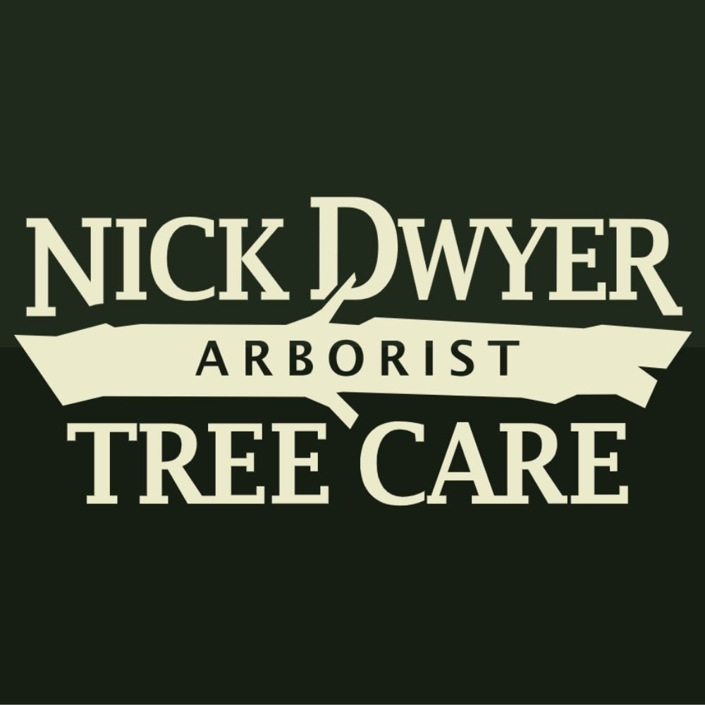 Nick Dwyer Arborist Tree Care logo - Knoxville tree service sponsor
