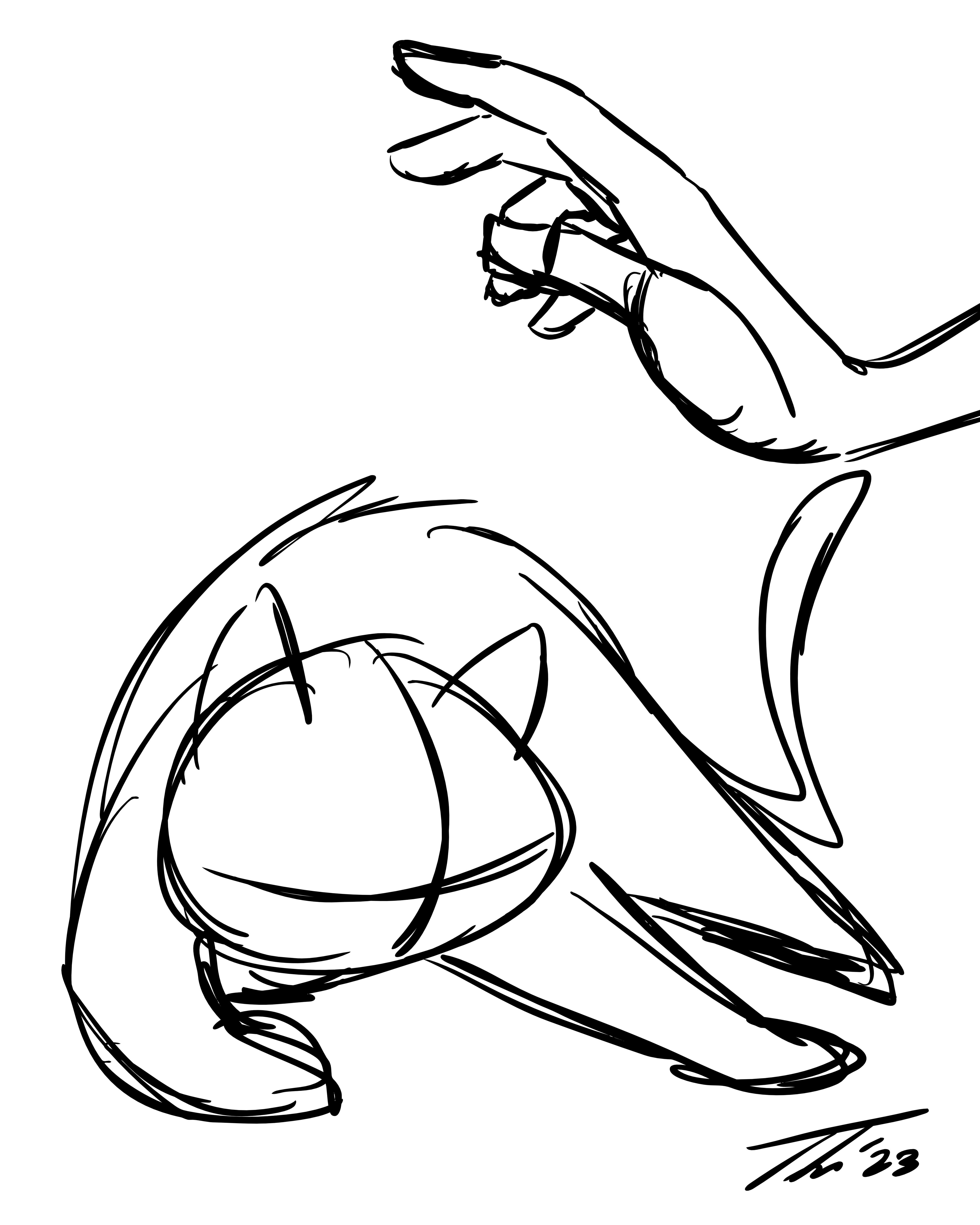 No Touchy