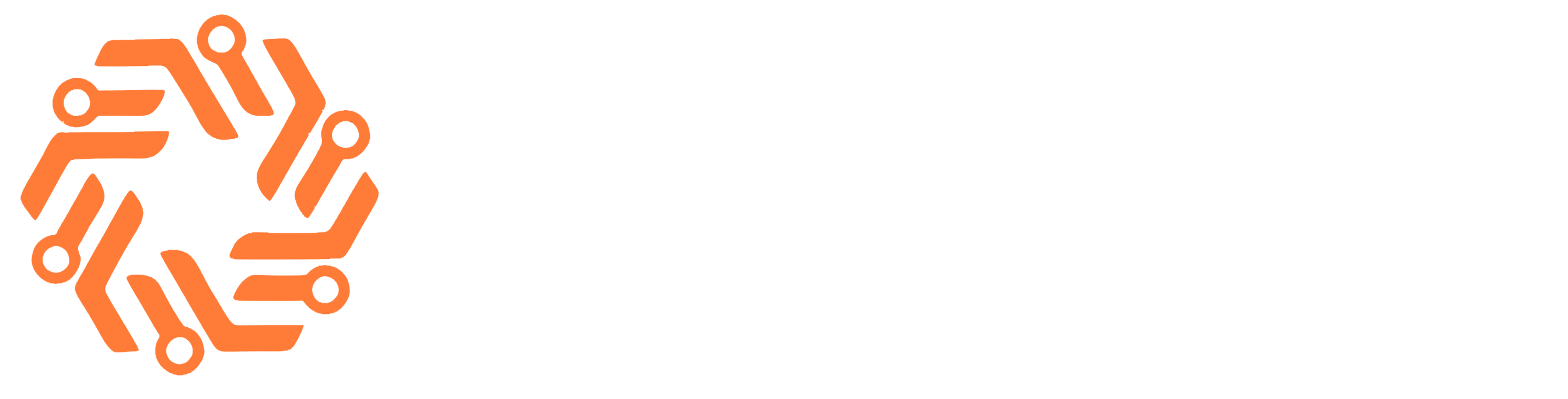 NSALUS Logo