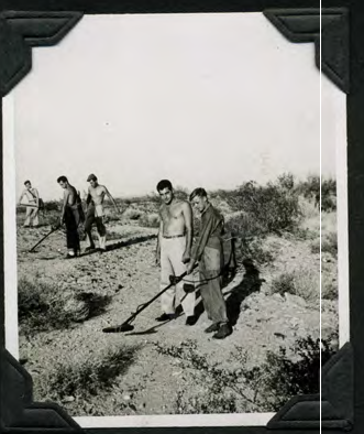 A team moving across the desert while operating mine detectors.