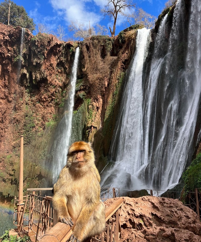 Ouzoud Waterfalls Day Trip - 3