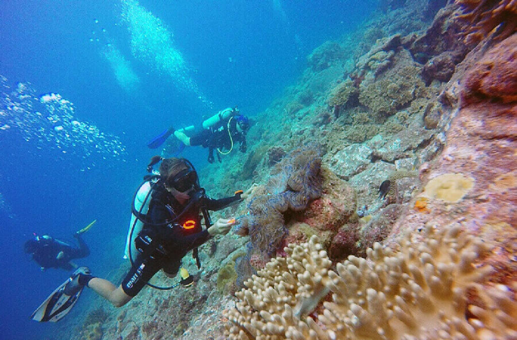 Scuba divers exploring a vibrant coral reef wall in Terengganu, Malaysia — diverse marine ecosystem with tropical fish