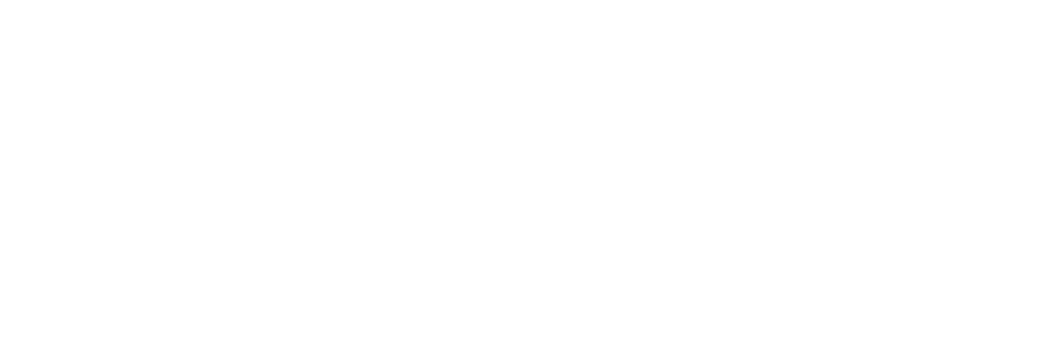 PAINTFI Logo
