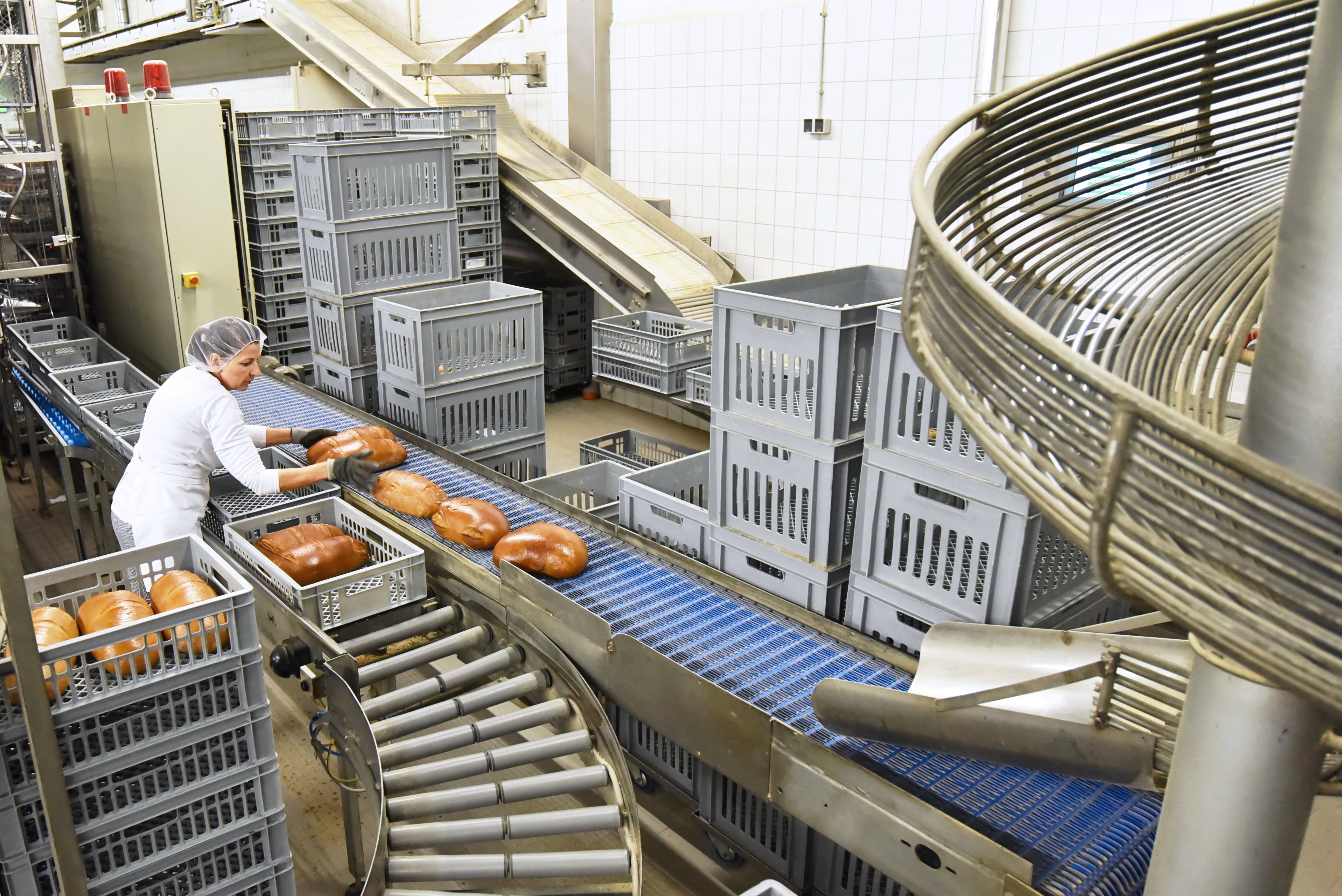 Panadería industrial con pan en transportador