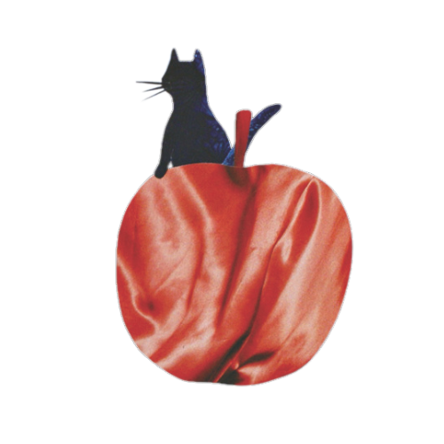 Decorative Apple with Cat