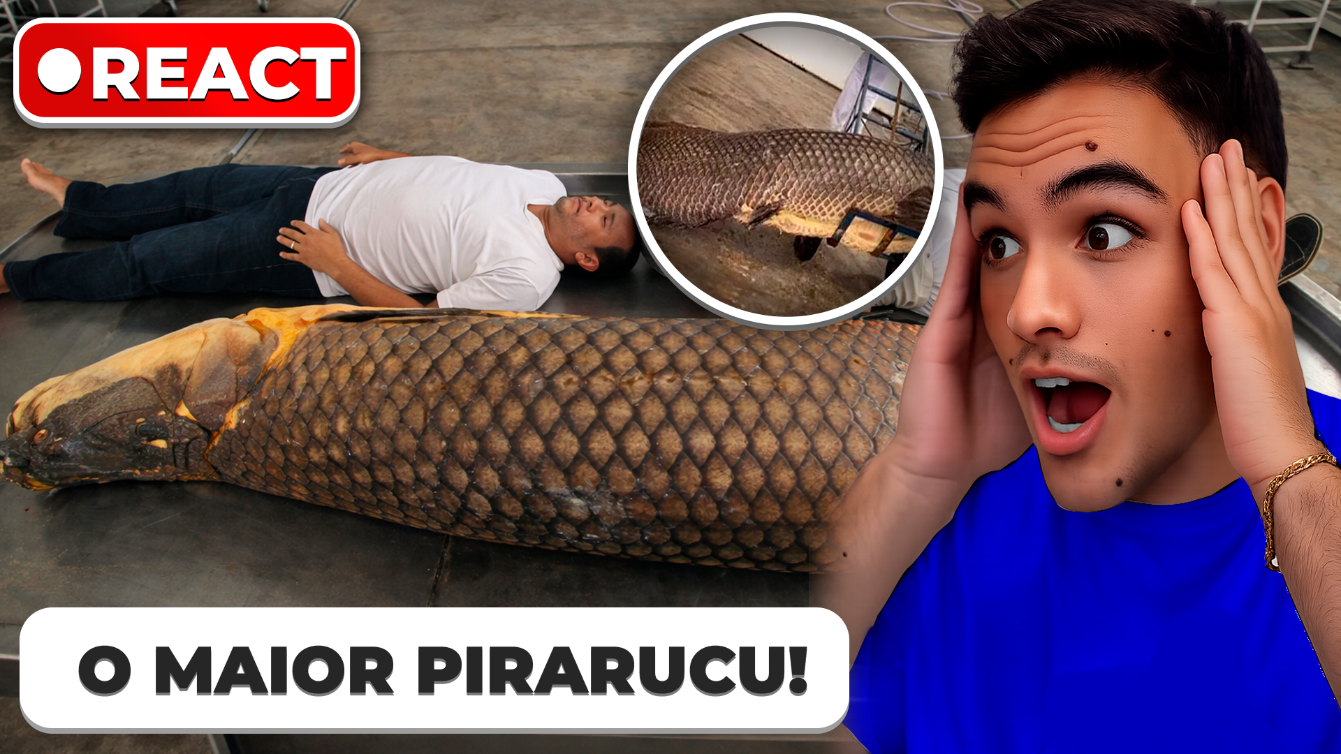 Thumbnail O Maior Pirarucu
