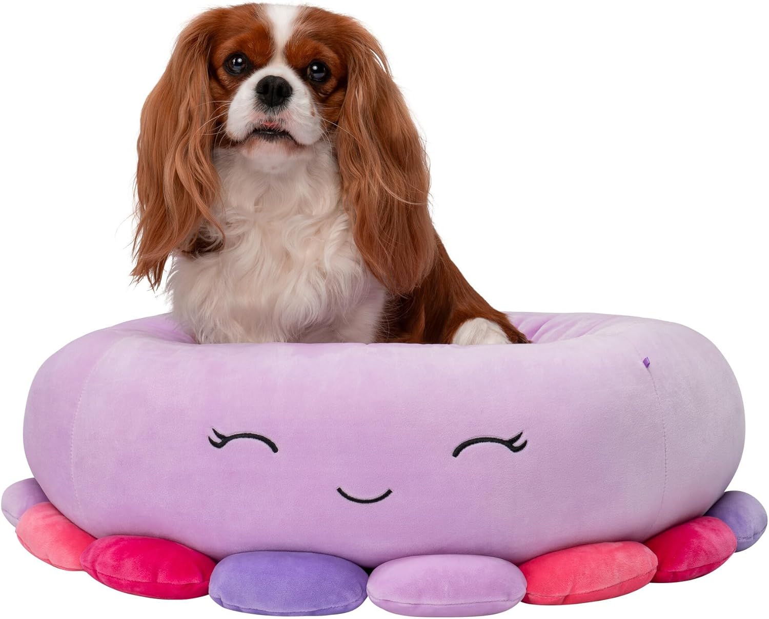 Purple Squishmallow Pet Bed with Cavalier King Charles Spaniel