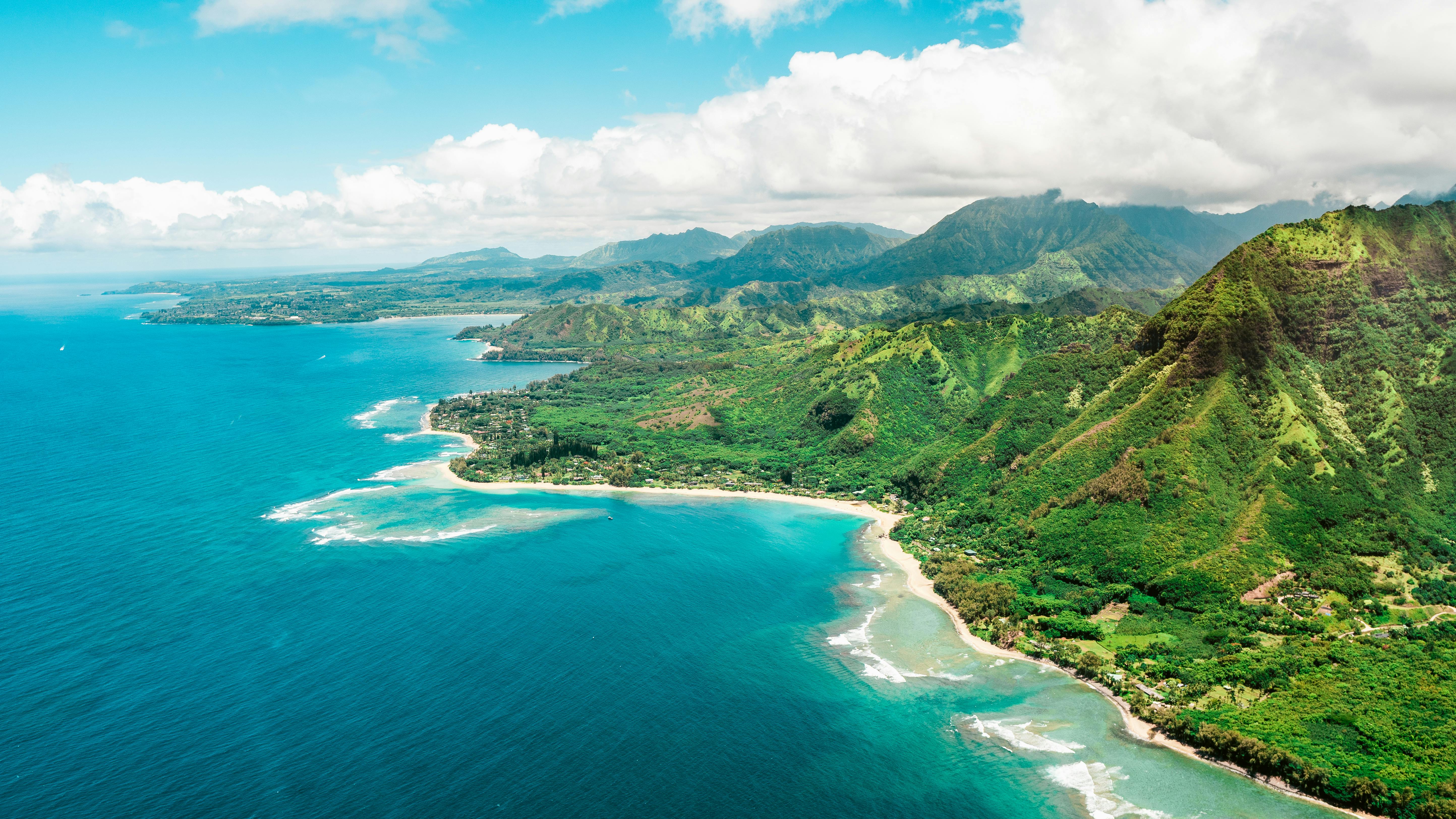 Hawaiian coastline