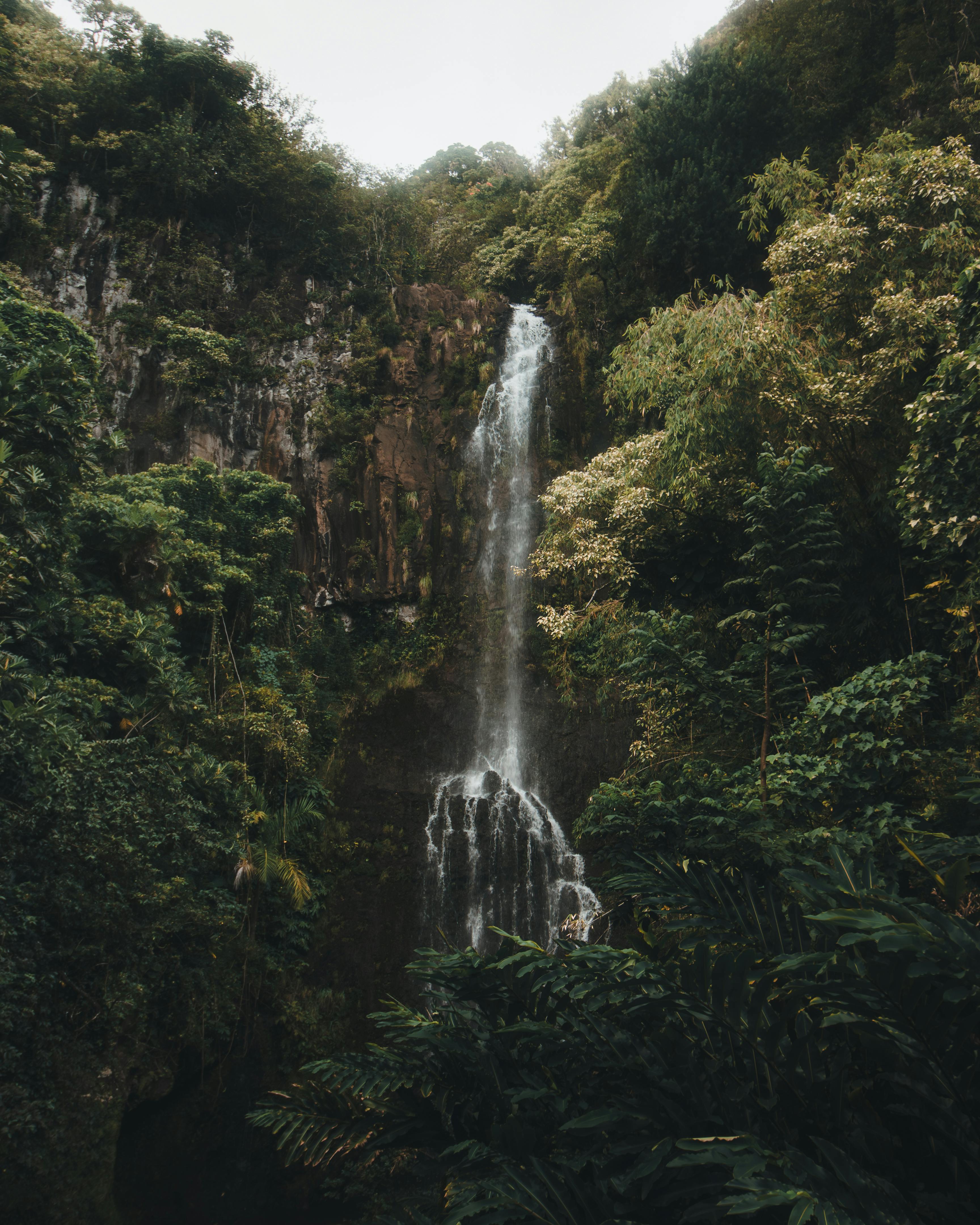 Hawaiian waterfall surrounded by lush tropical vegetation