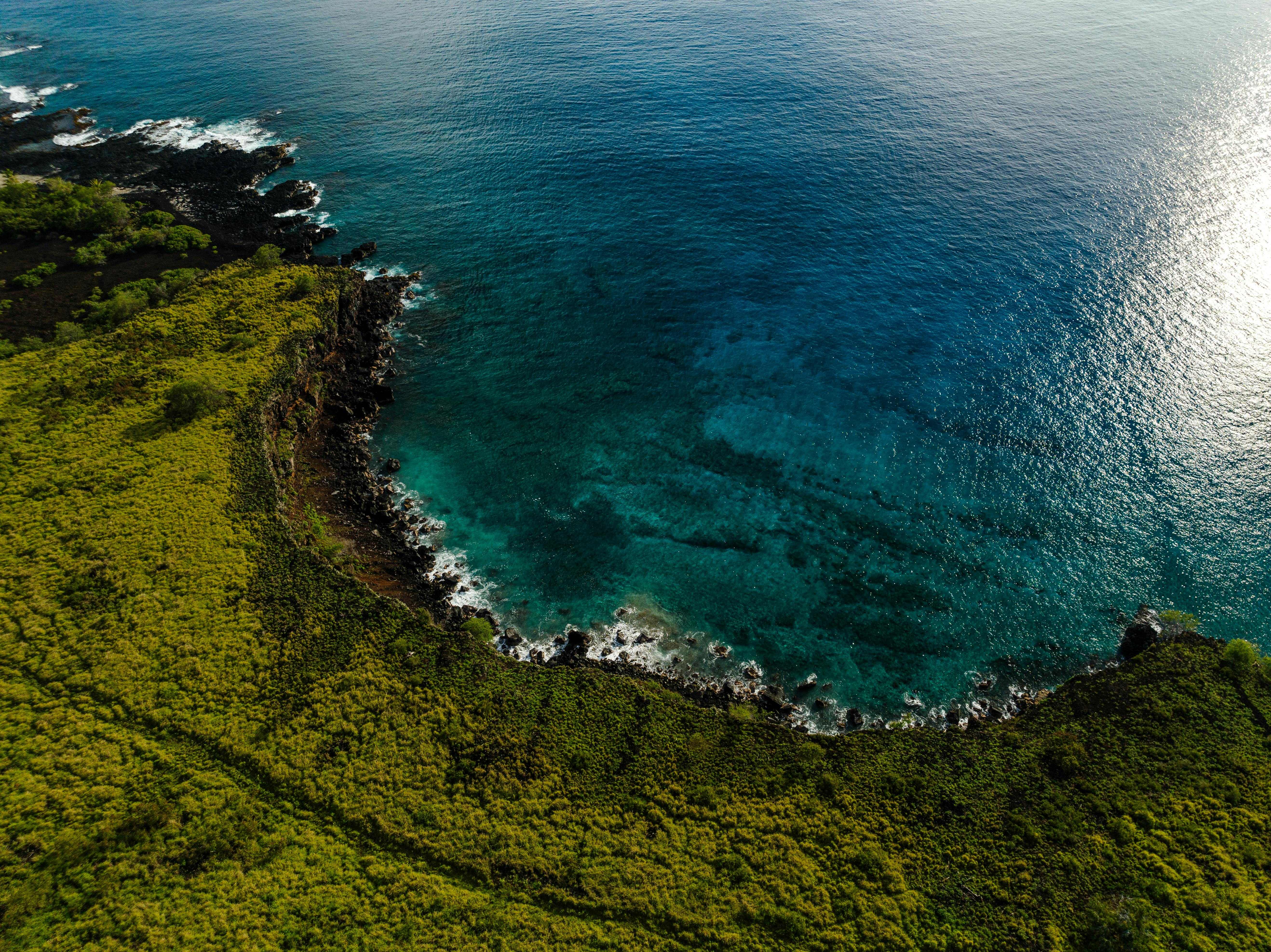 Volcanic coastline