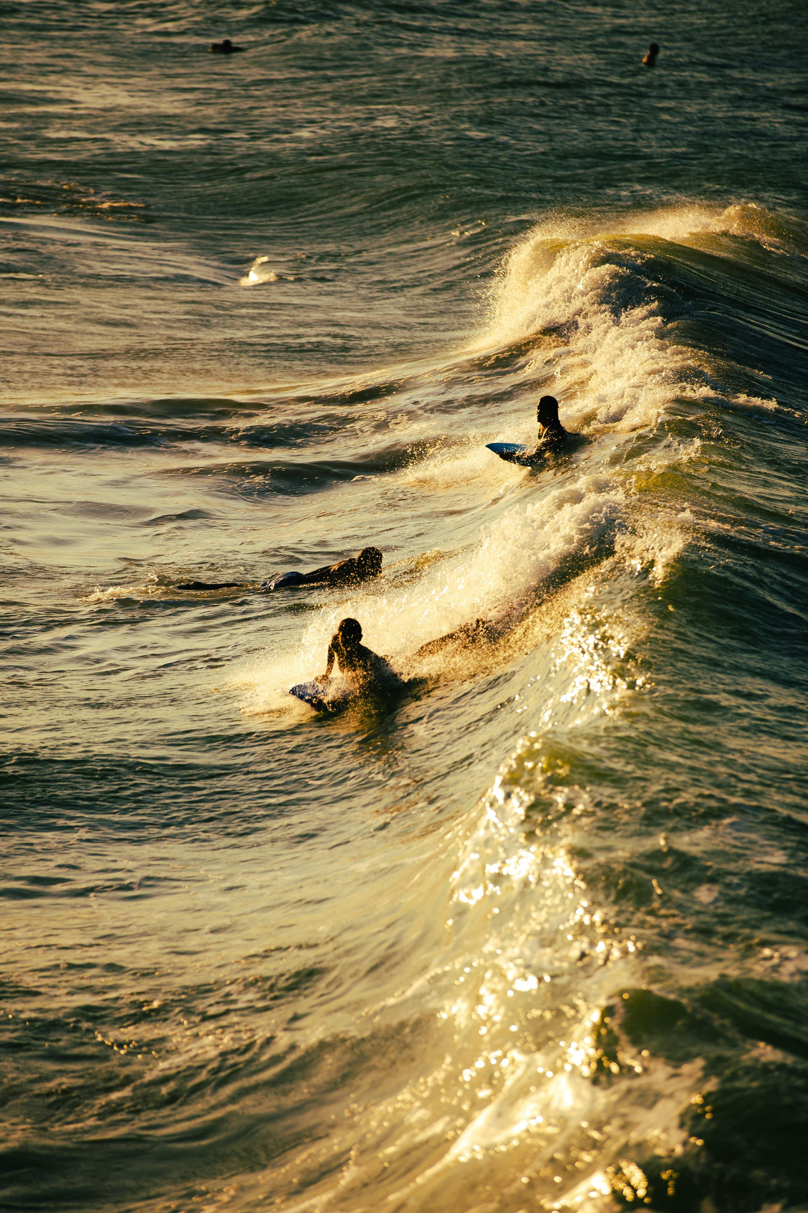 Surfers riding waves during golden hour sunset