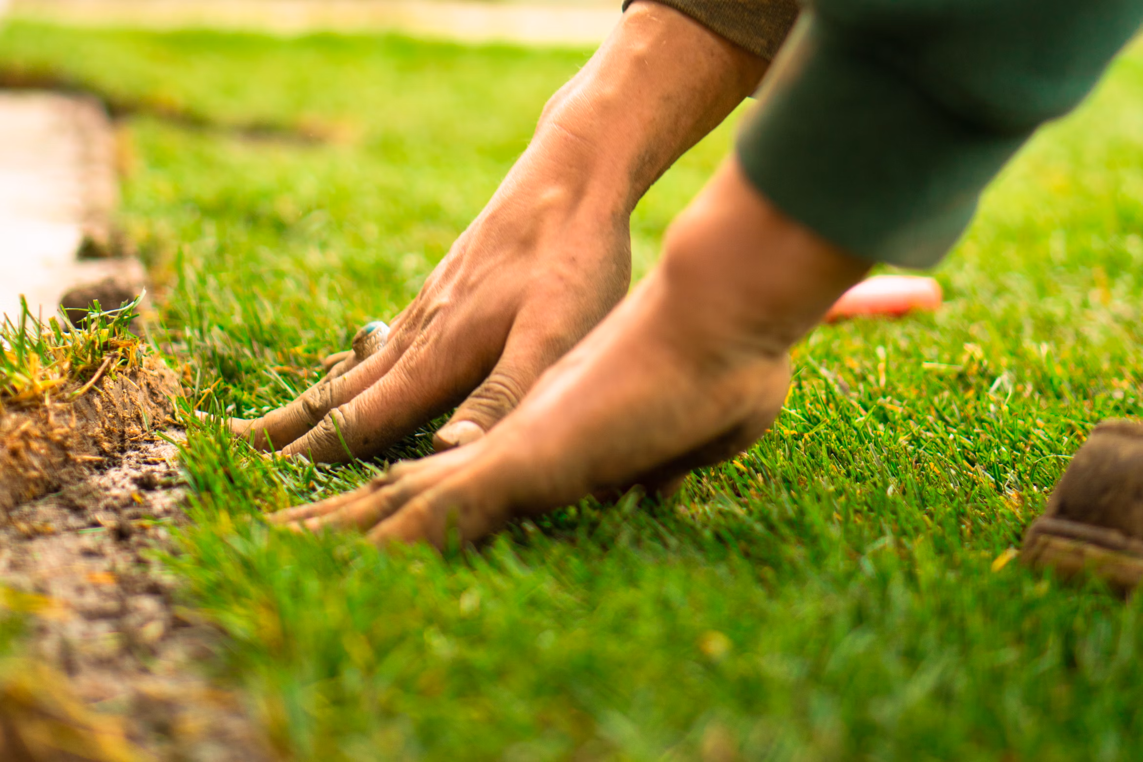 Freshly mowed green lawn