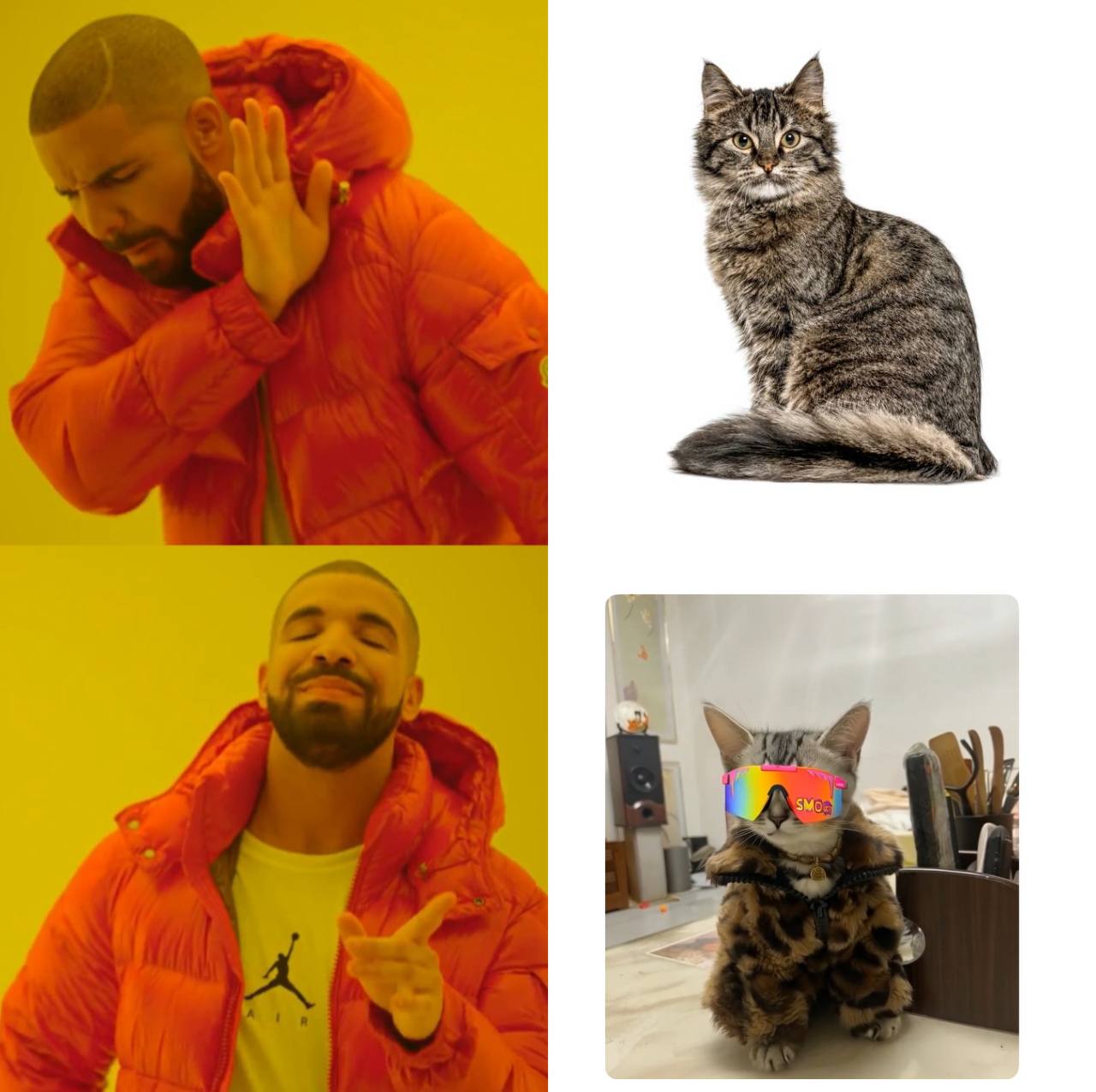 Cat Wif Jacket Meme 4