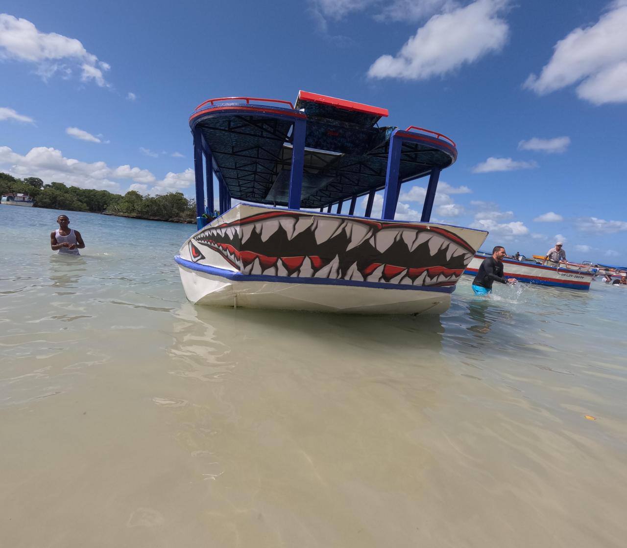 Bote decorativo en aguas poco profundas