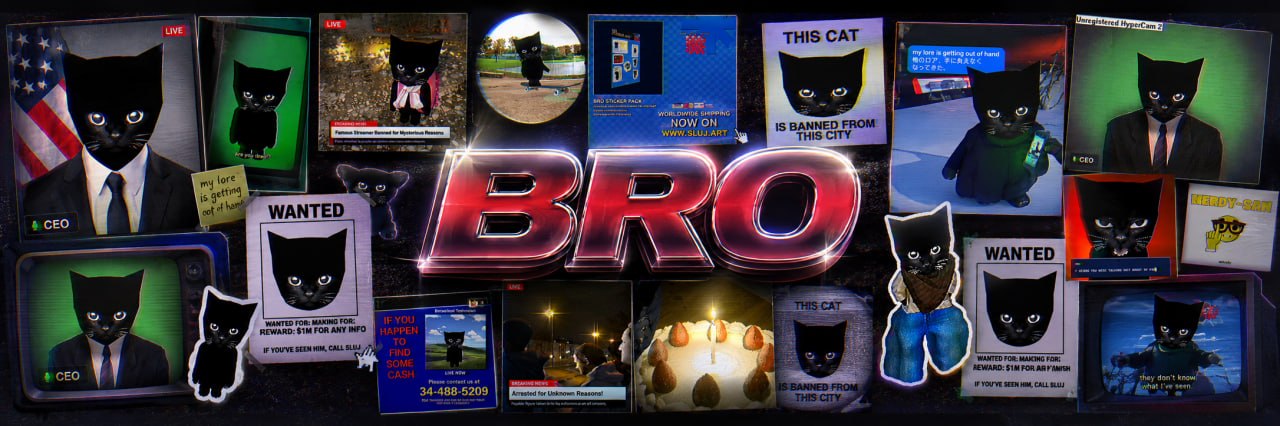 Bro cat collage