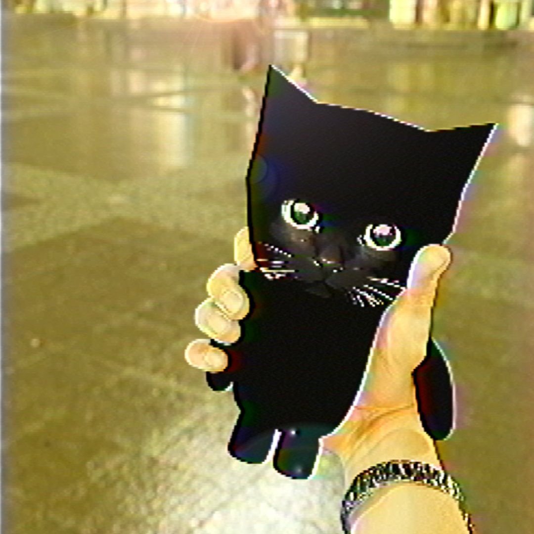 found_him.bmp