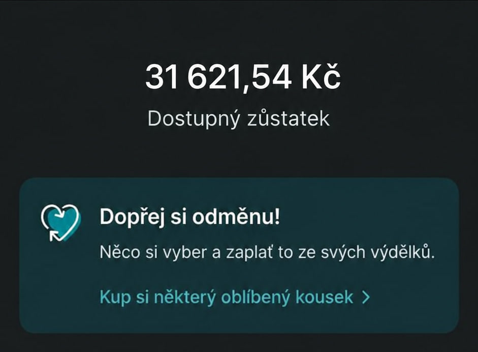 Ukázka výsledku: 31 621,54 Kč