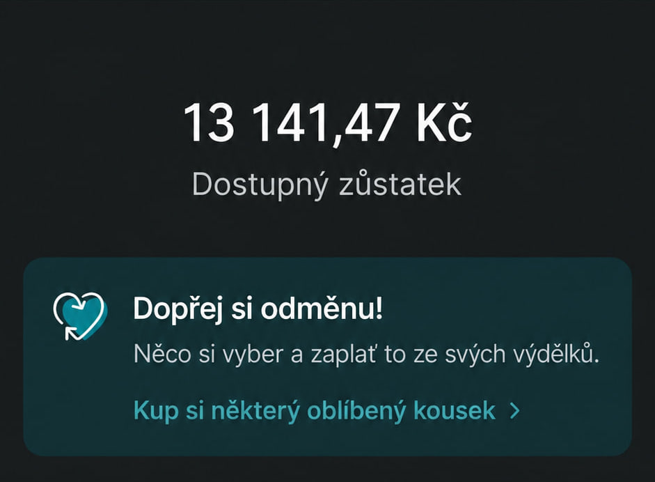 Ukázka výsledku: 13 141,47 Kč