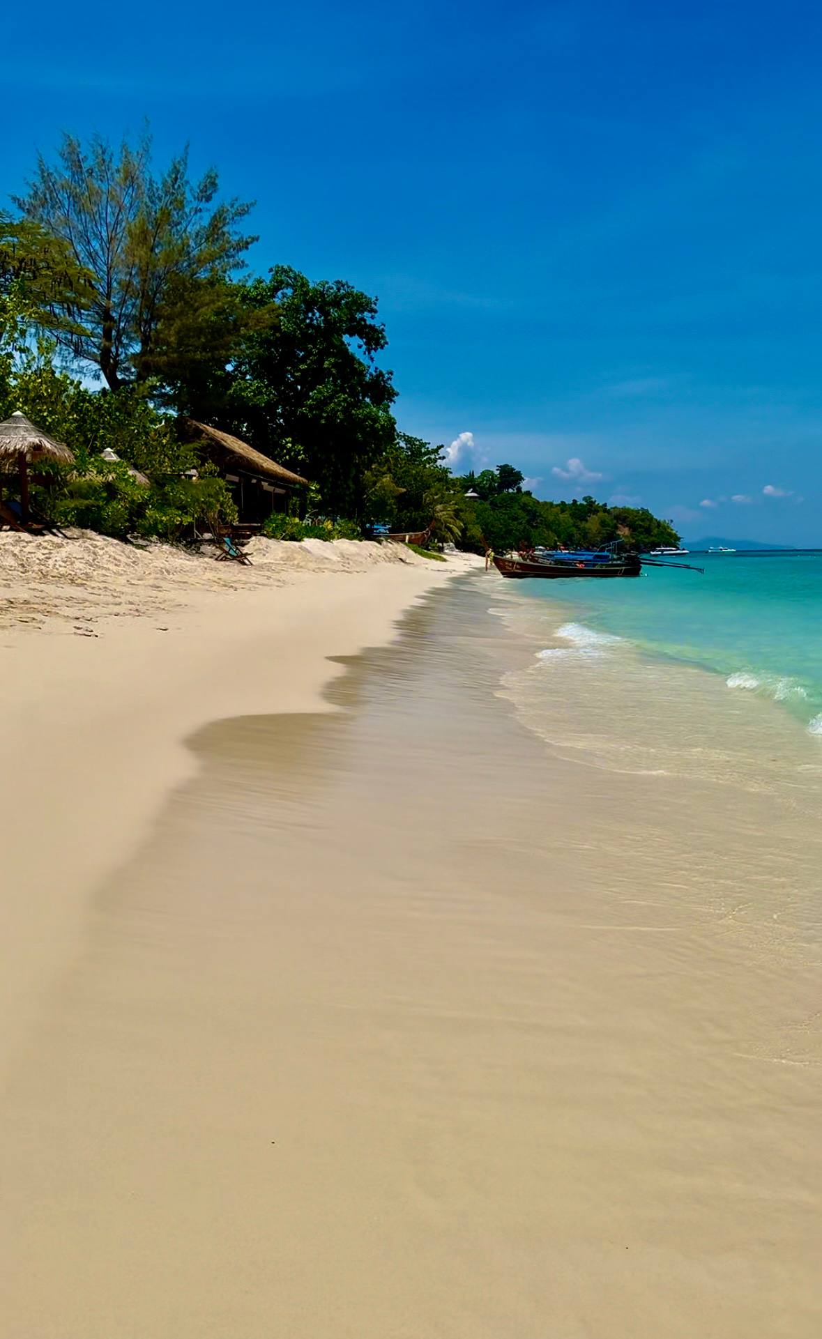 Wycieczka łodzią wśród palm i mangrów