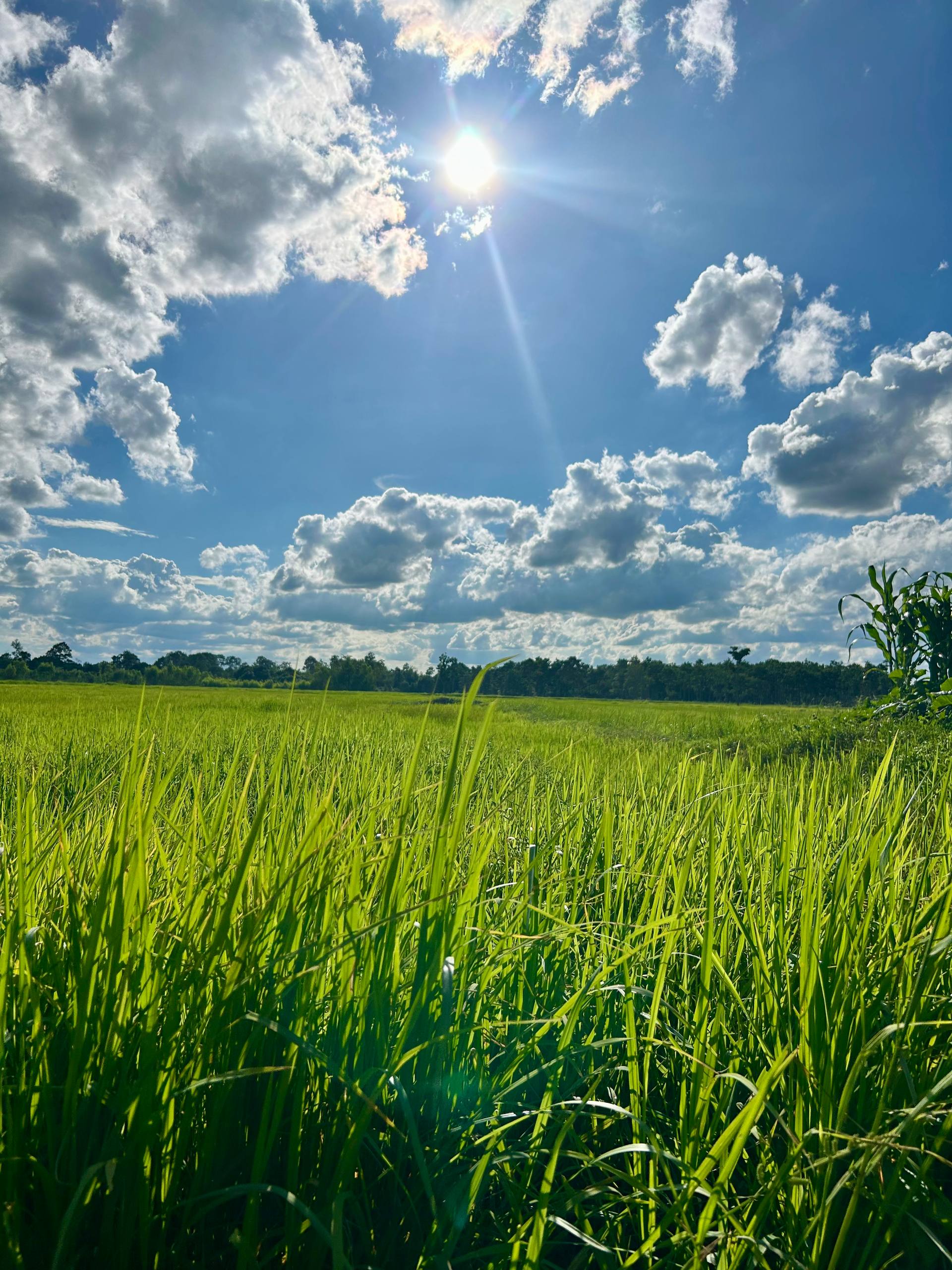 Plaża z białym piaskiem i żaglowcami