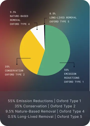 Oxford Offset Types portfolio breakdown: 55% Emission Reductions, 35% Conservation, 9.5% Nature-Based Removal, 0.5% Long-Lived Removal
