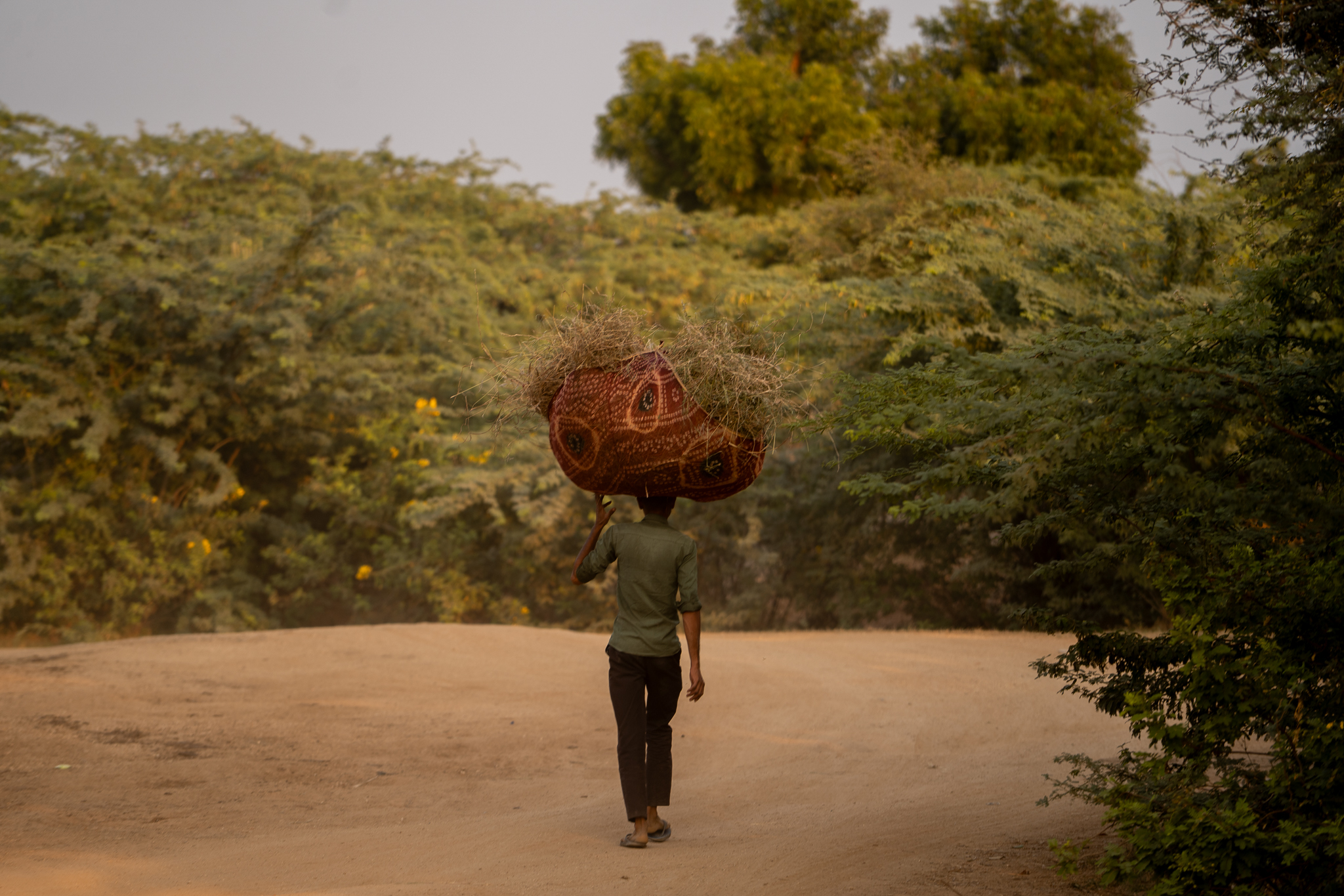 Person carrying hay bundle on dusty road