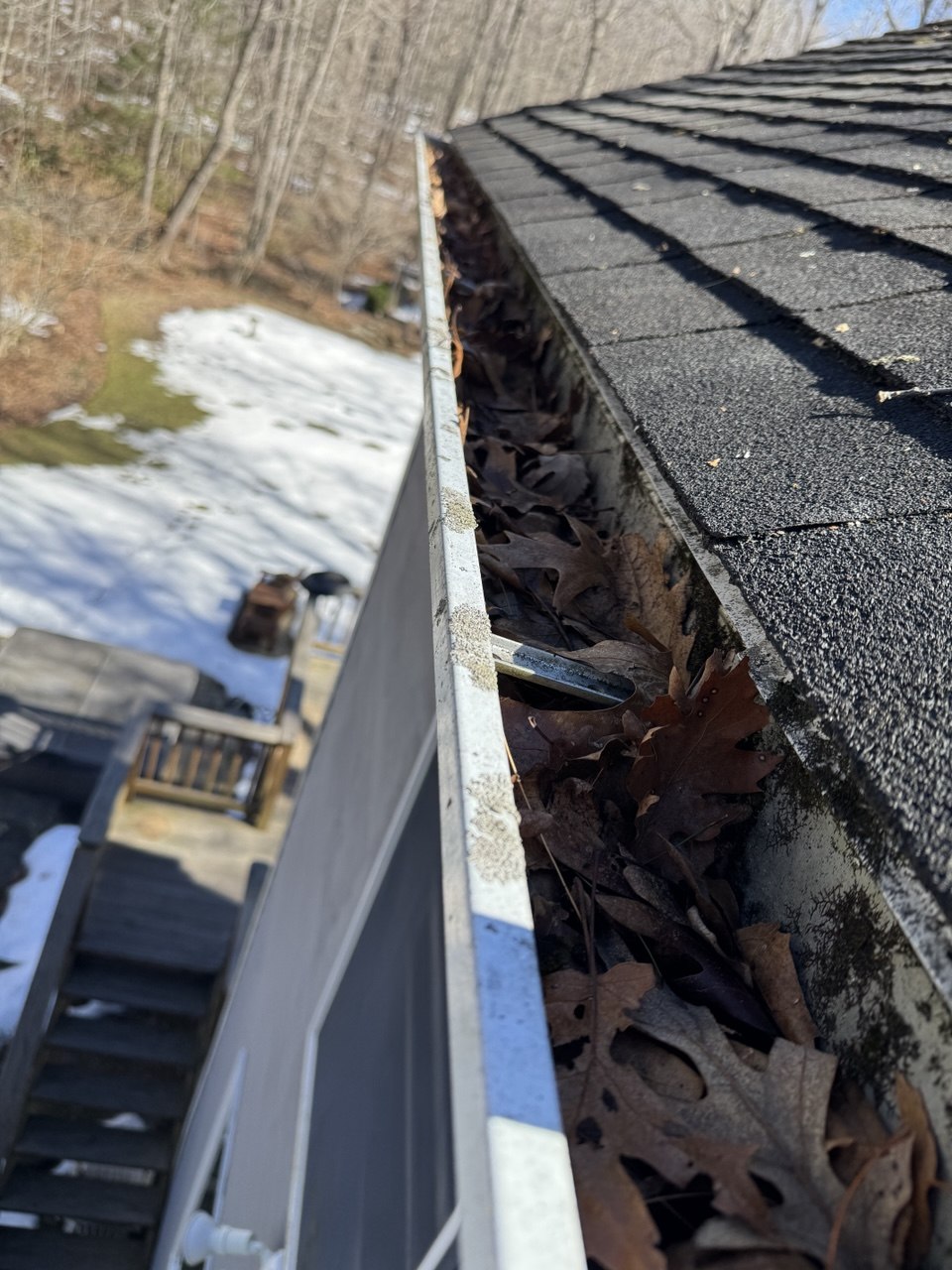 Full Leaf Removal — Winter Service