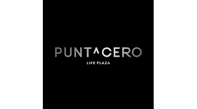 Puntacero