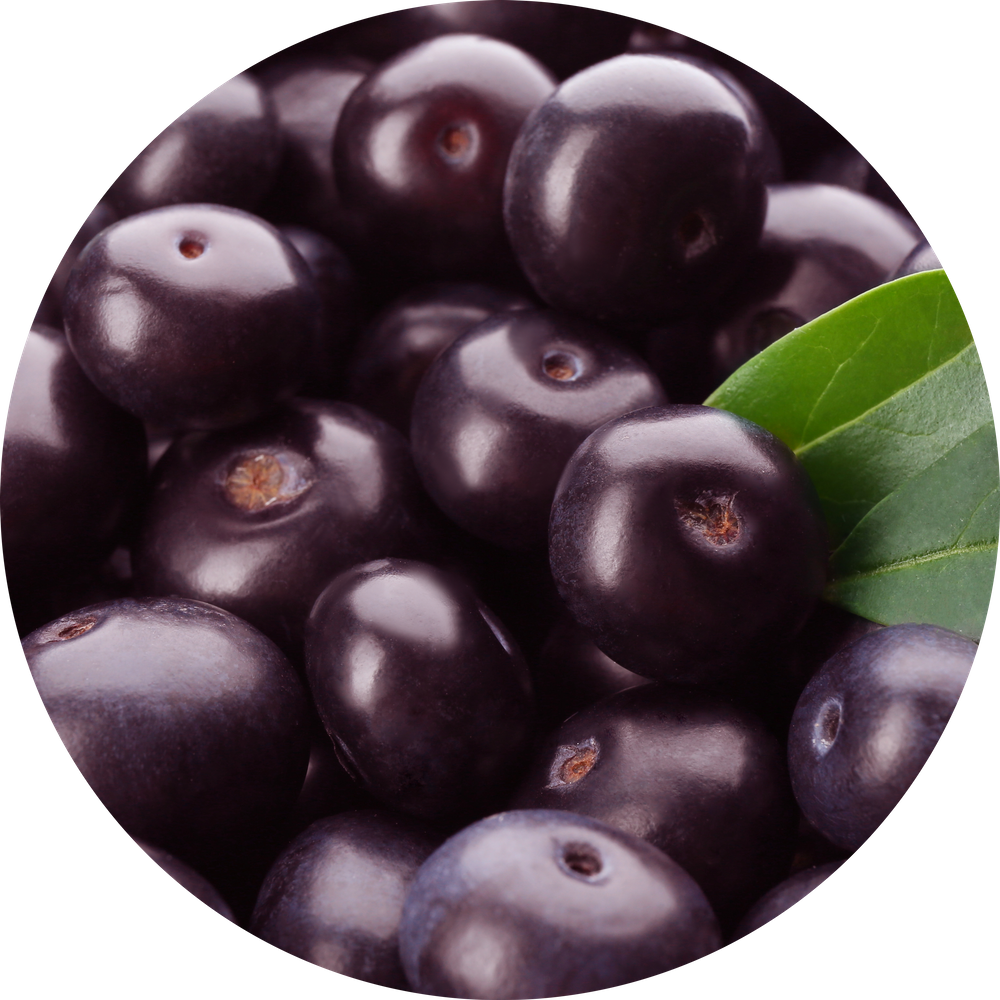 Pure Base — 100% organic acai blend at Palm Berries NC