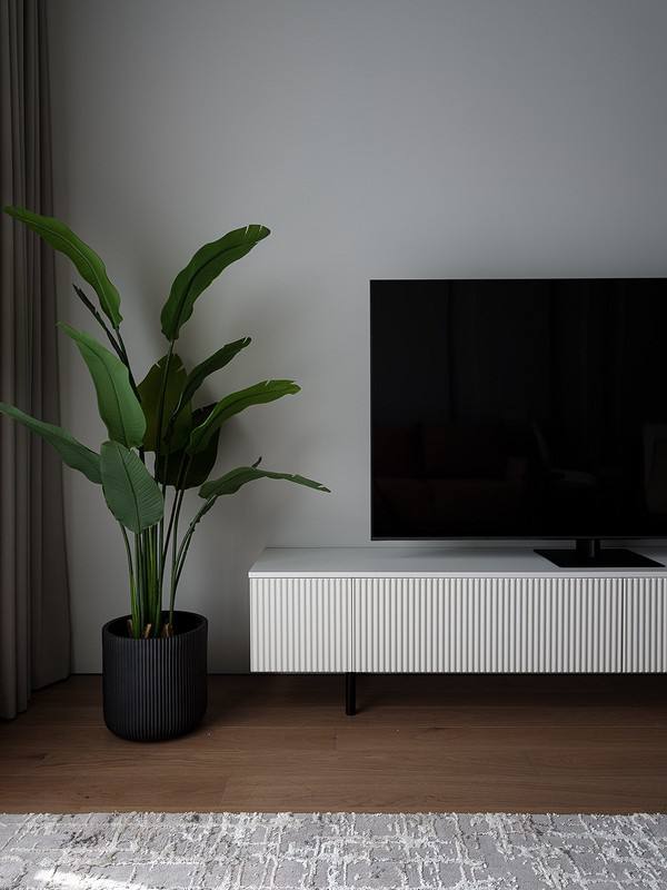 Minimalist TV Console