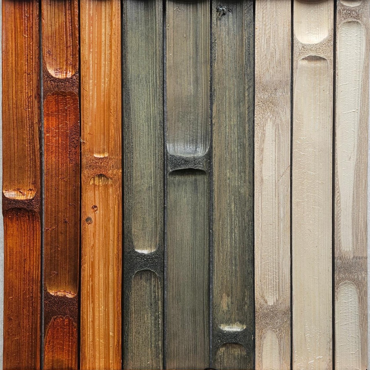 Ripas cores diversas