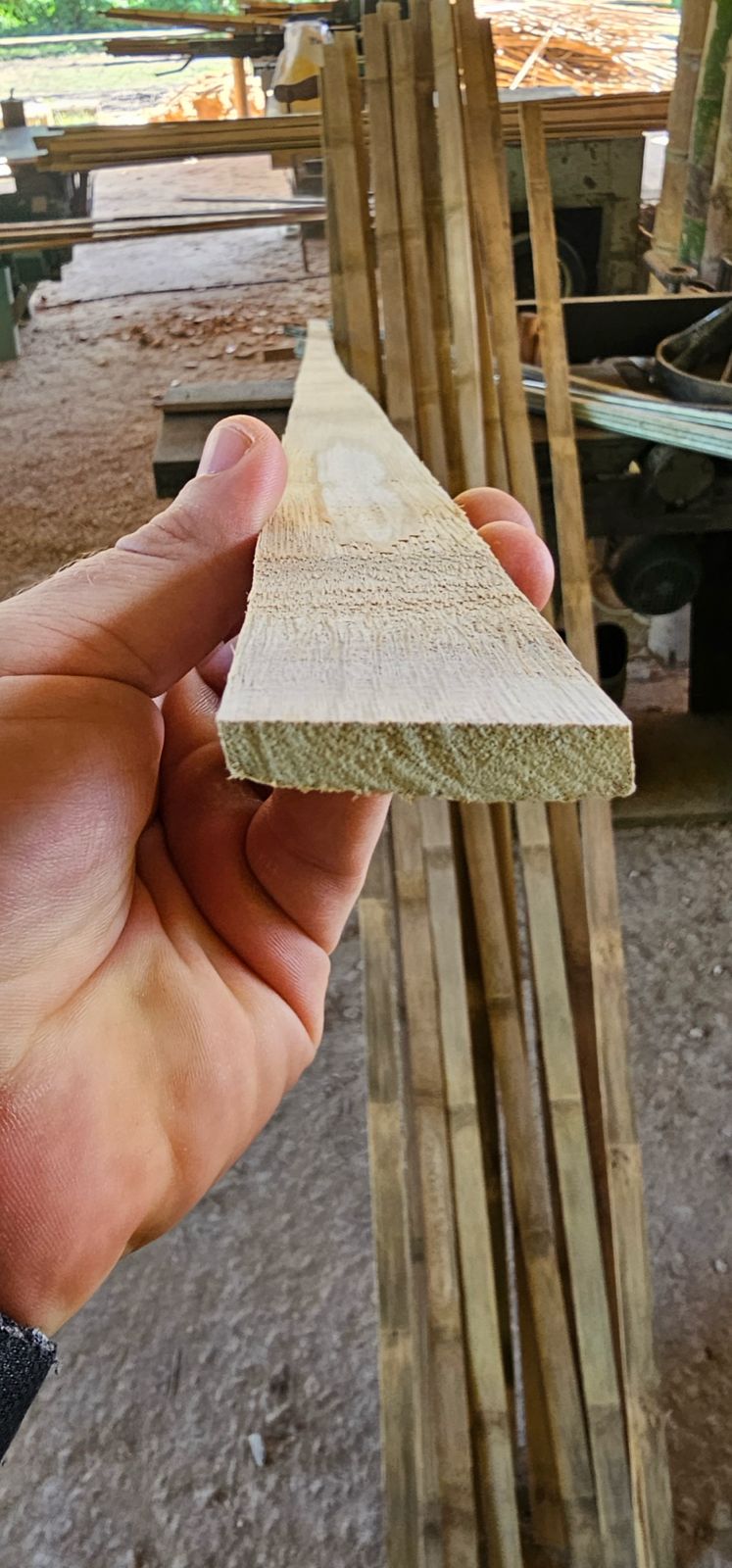 A Arte de Transformar o Bambu - 6