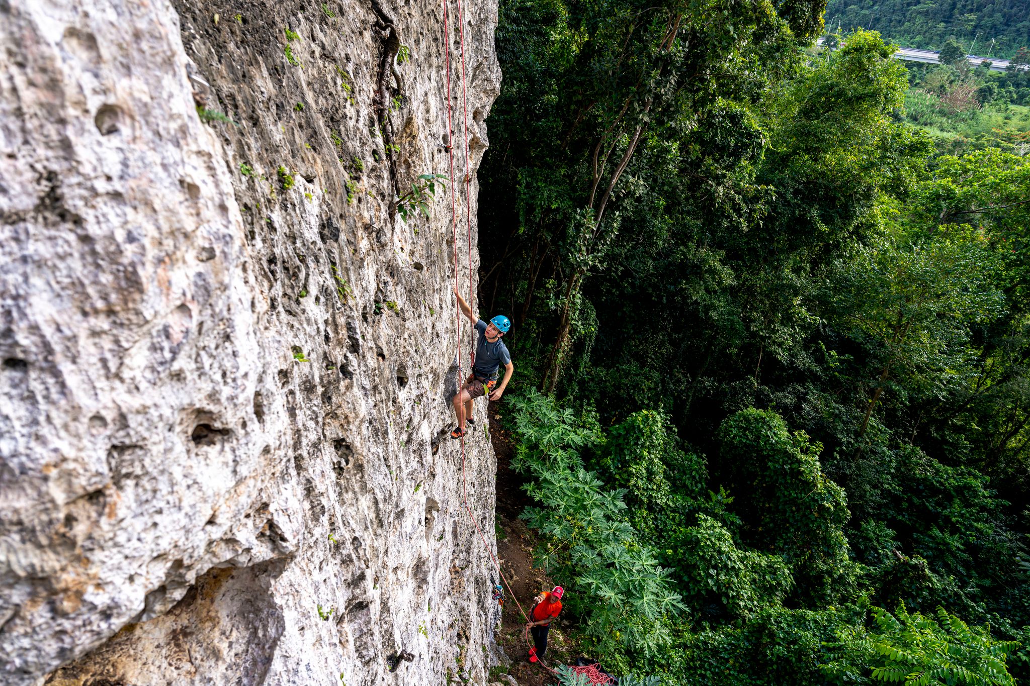 Rock climber ascending a sheer limestone cliff at Roca Norte surrounded by jungle