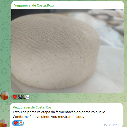 Resultado Rozi - Queijo em fermentação