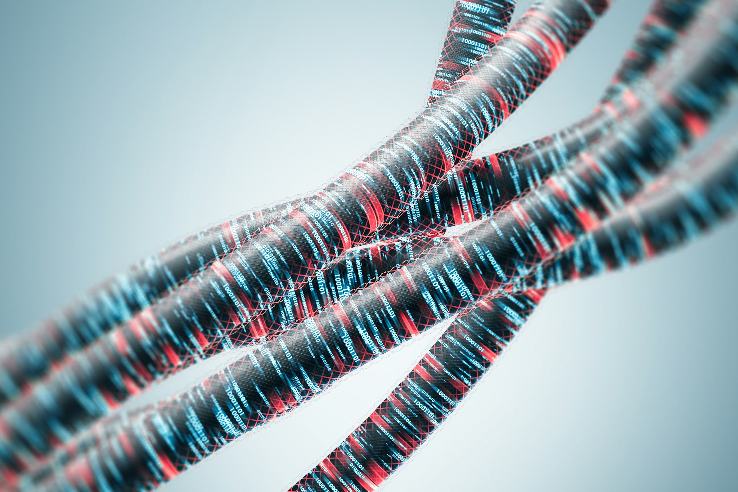 3D digital data cables with binary code and red mesh overlay representing data transmission