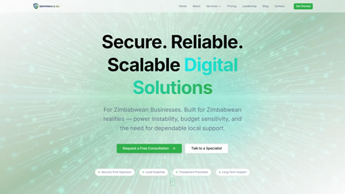 Sentrings & Co - Professional project mockup showing real product interface