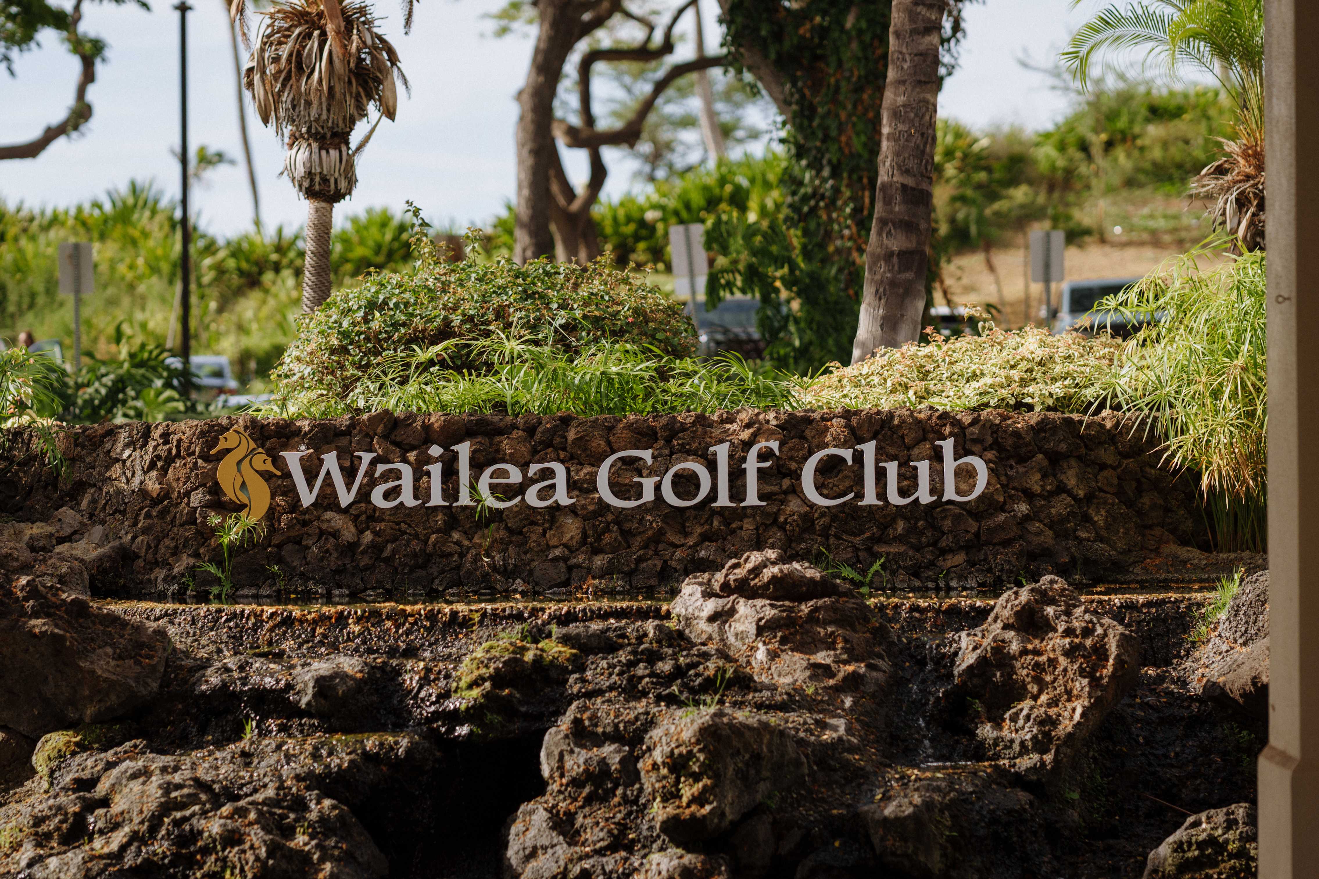 The Setting - Image 1