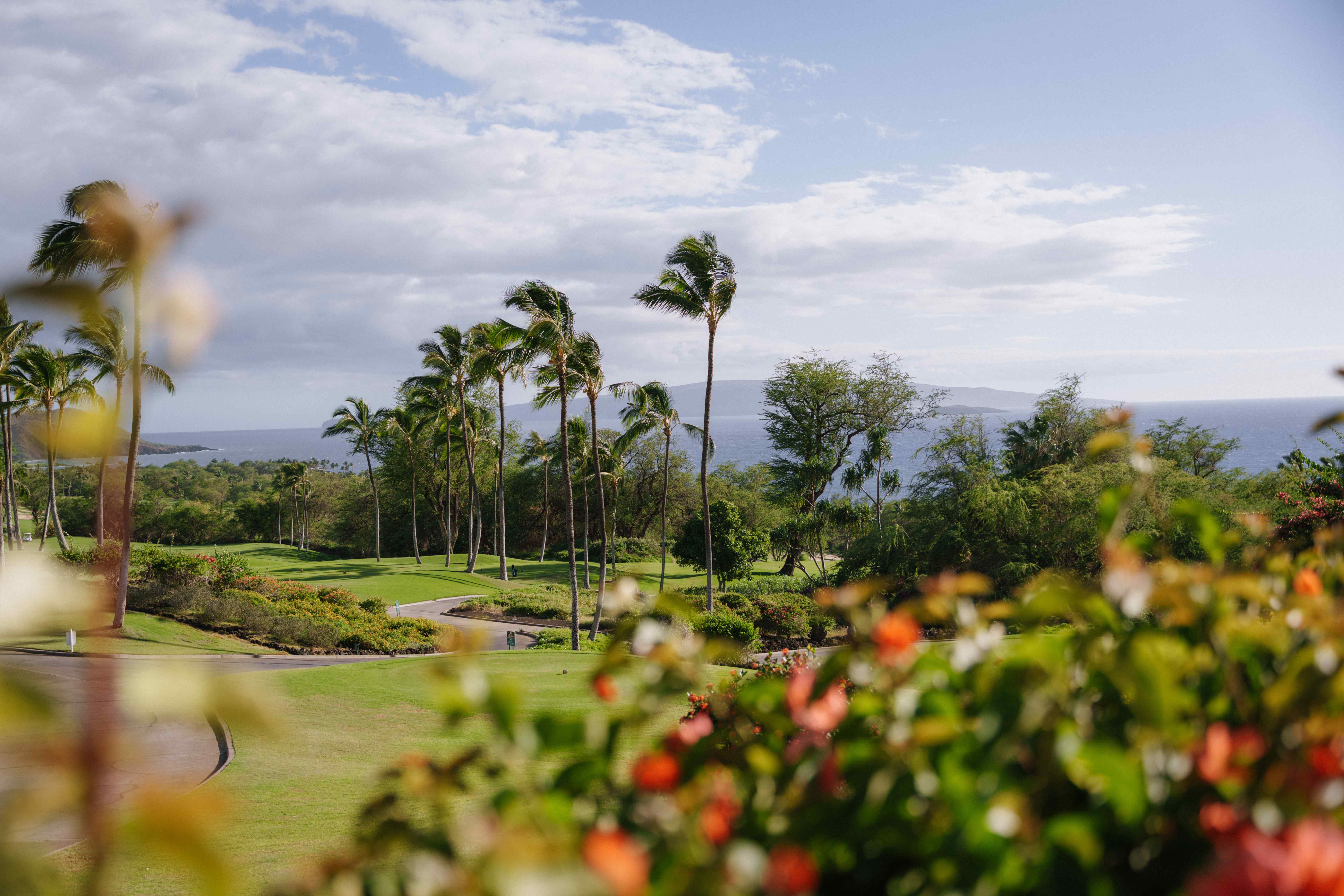 The Setting - Image 2