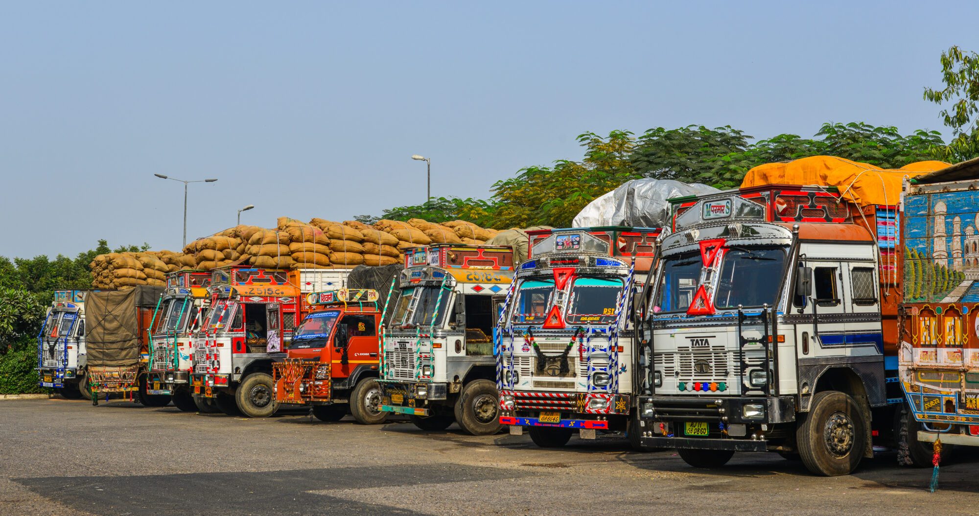 WheelsDaddy Fleet