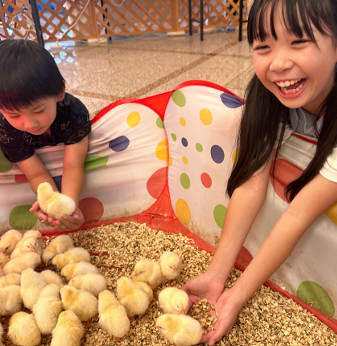 小動物エリアの様子