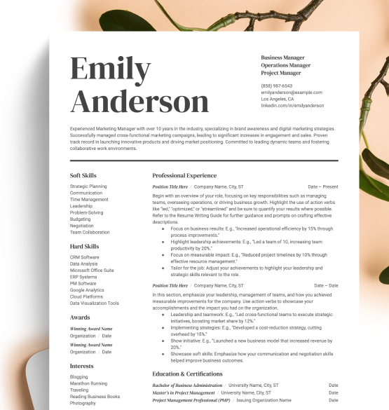 Example of resume template with filled content