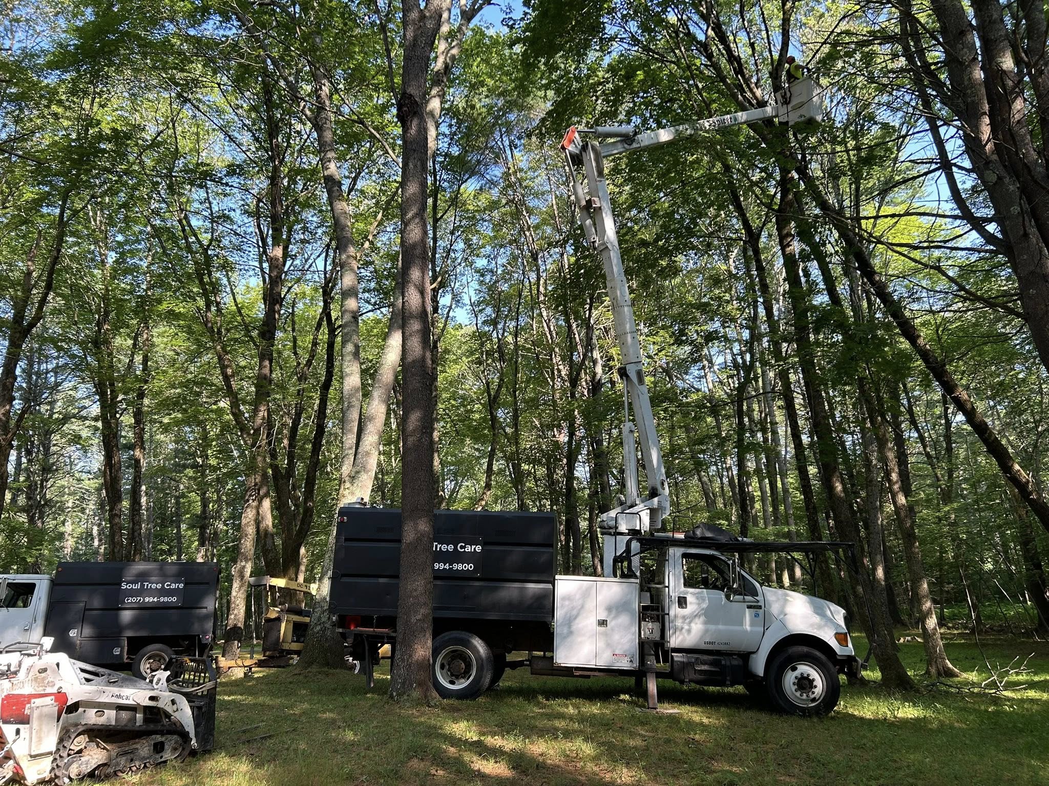 Soul Tree Care crew with multiple trucks performing tree work in a wooded New Hampshire property