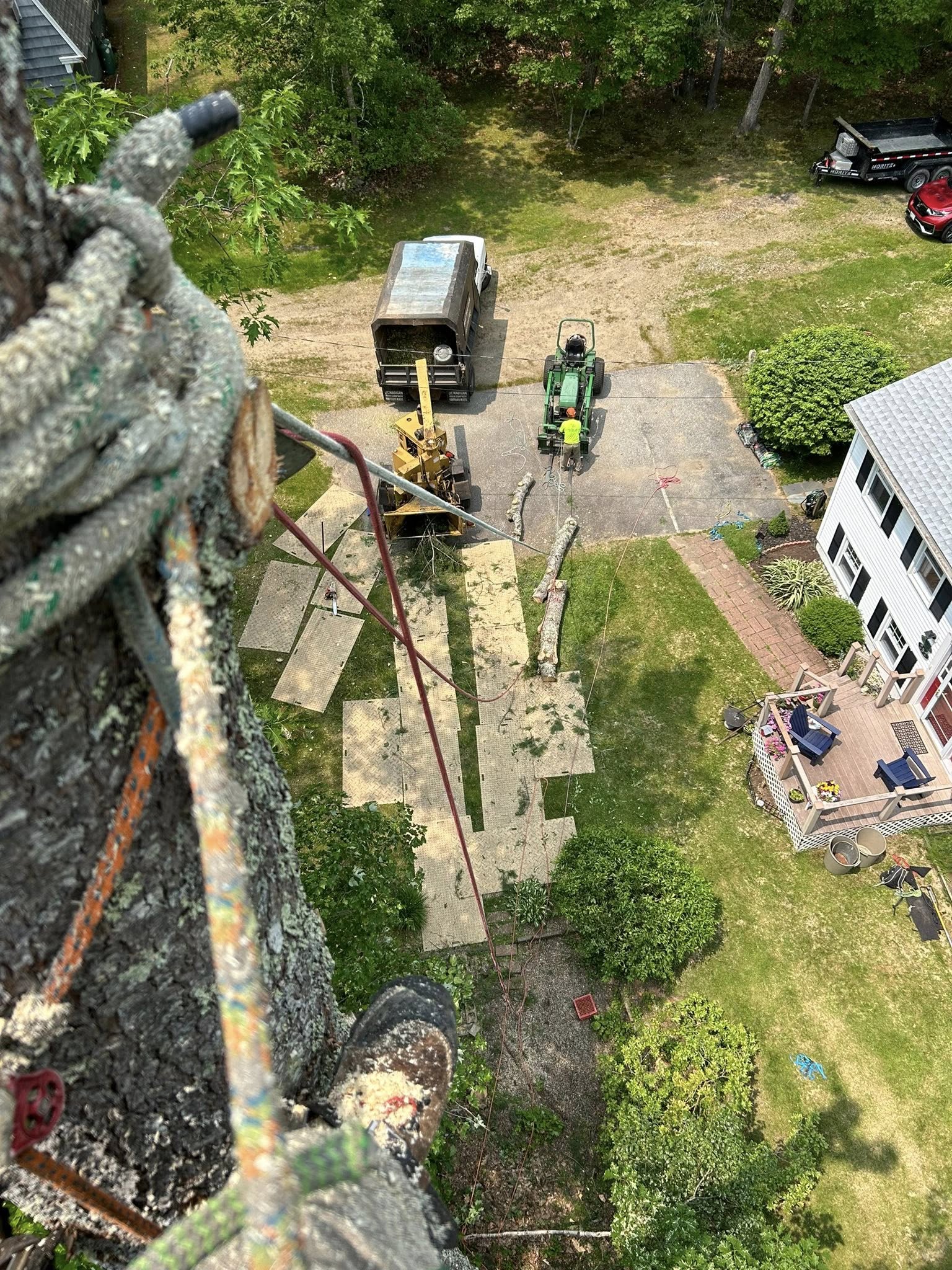Aerial climber POV looking straight down at a driveway with rigging ropes, chipper, log sections on ground mats, and a crew member below