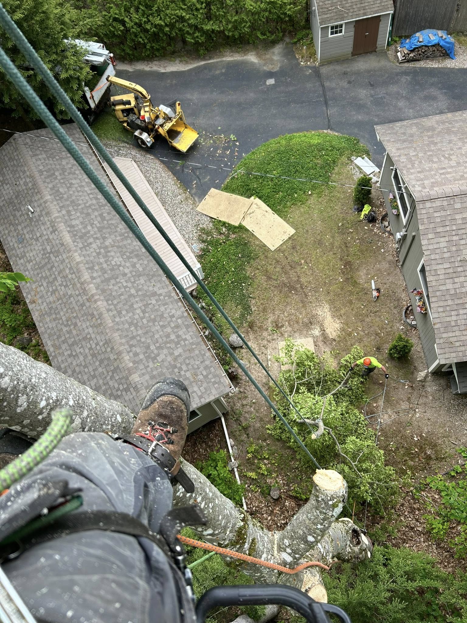 Climber POV looking steeply down over a roofline at a driveway with chipper truck and ground crew guiding log sections with ropes