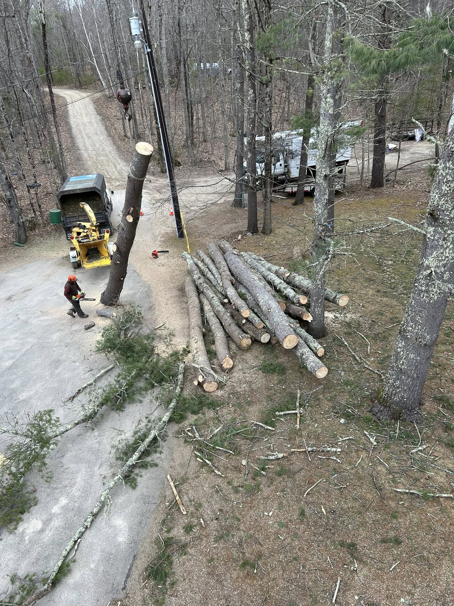 Bird's-eye view from a bare-season tree over a rural dirt road with crew, yellow chipper, and a large log pile on the ground below