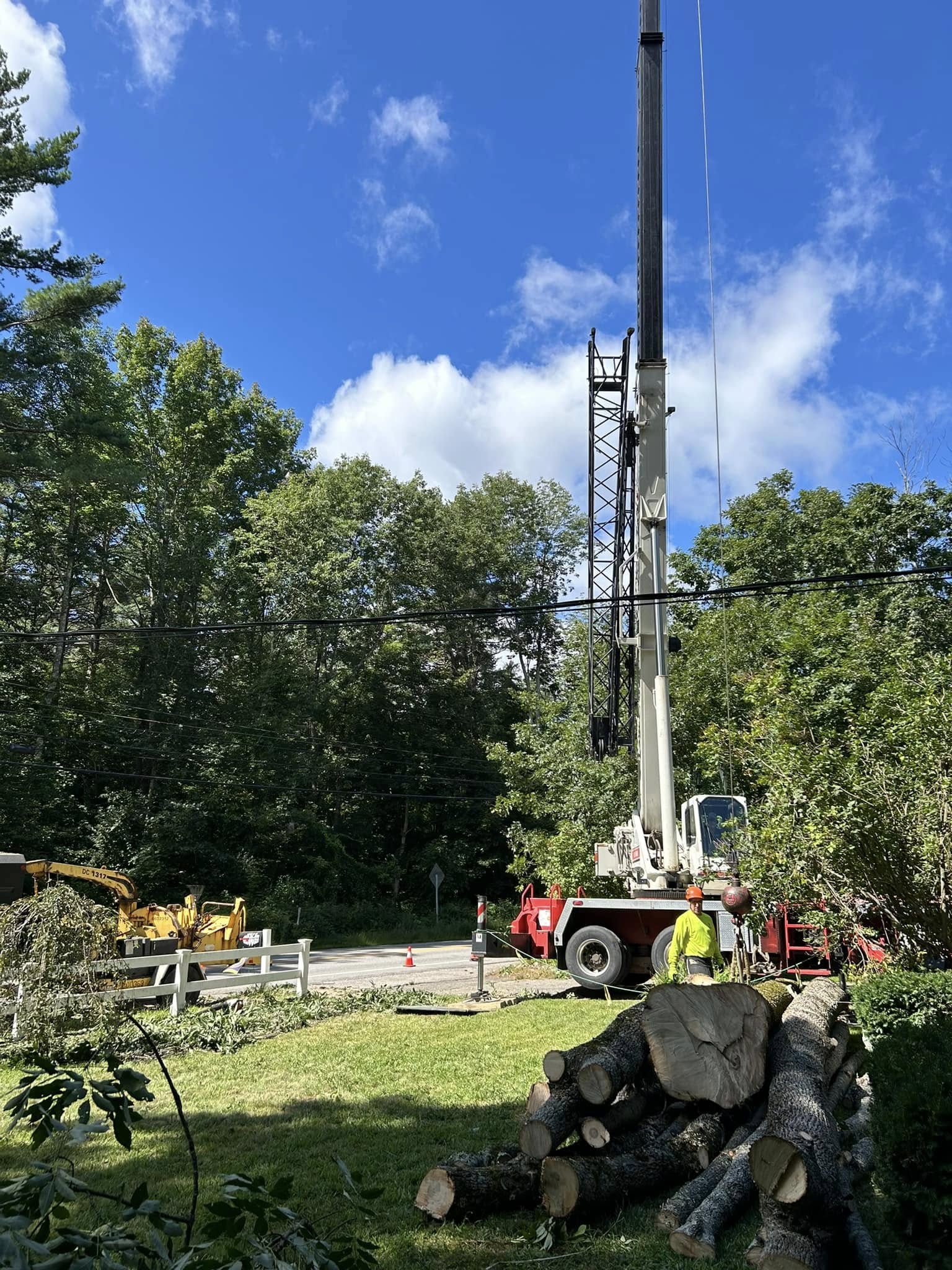 Large crane truck with boom fully extended against a blue sky, logs piled in the foreground and arborist visible near the cab