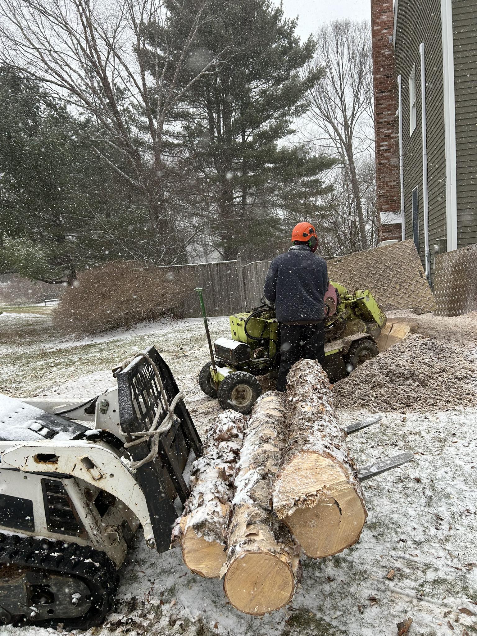 Arborist operating stump grinder in snowy conditions with logs and mini skid steer in foreground