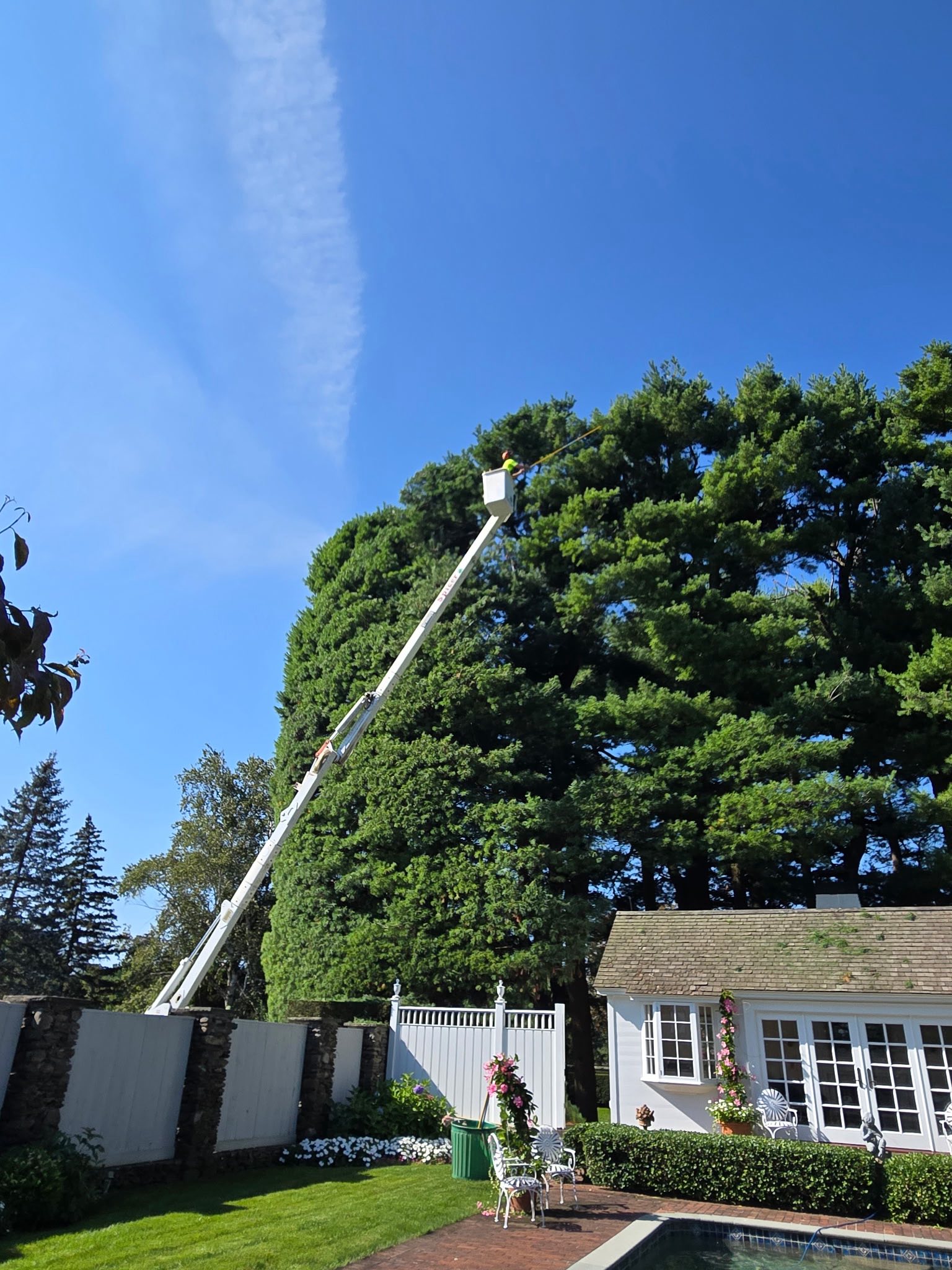 Soul Tree Care arborist in bucket truck trimming a large tree at a residential property